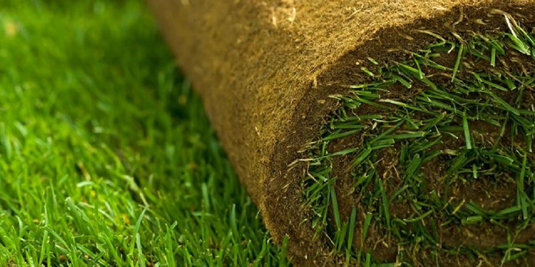 SOD DELIVERY AND INSTALLATION AVAILABLE
